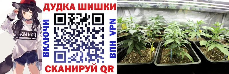Виды наркоты Княгинино MEGA онион  МЕФ  ГЕРОИН  Гашиш  COCAIN 